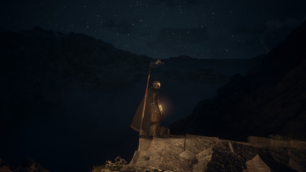 My beastren Arisen stands on a outcrop overlooking a darkened valley. In the distance, the capital of Vermund is lit, a beacon of civilization in the wilderness. Overhead, stars twinkle.