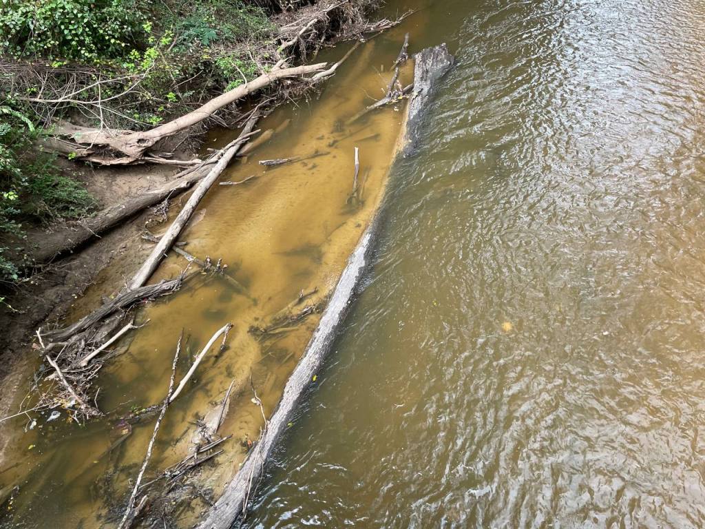 Crabtree Creek, as seen from one of the footbridges on the Greenway. A tree trunk has fallen into the stream, partitioning the water into calm and turbulent flows.